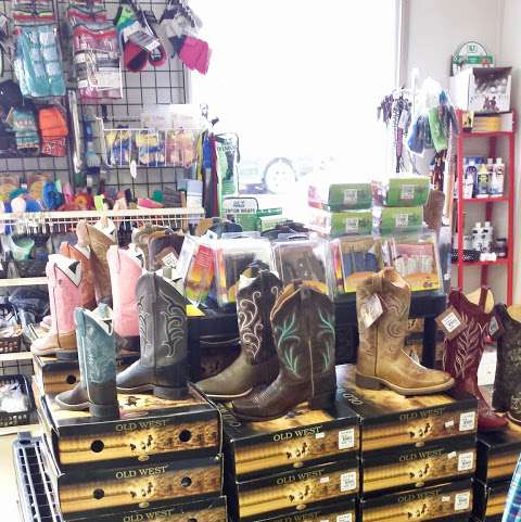 MC Quarterhorses Daily Horse Supply MC Quarterhorses Daily Horse Supply